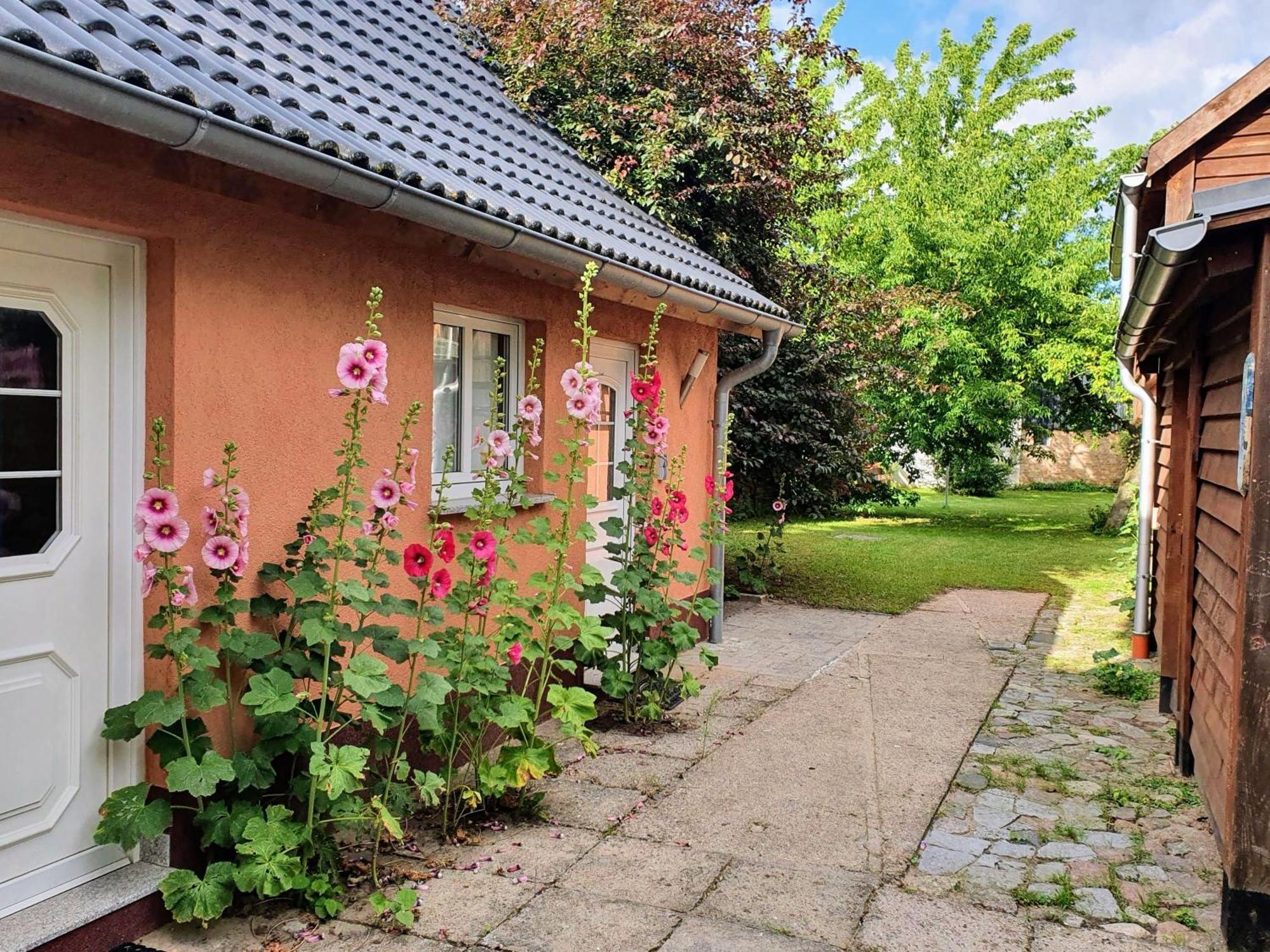 Apartment Moewe Hanshagen (Lubmin)